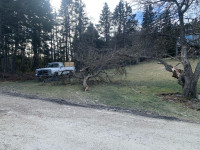 Tree Removal HRM