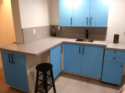 offering ground level bedroom with private washroom for one person - separate entrance - spacious pr...