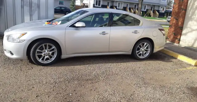 Have car will travel528038757118791681