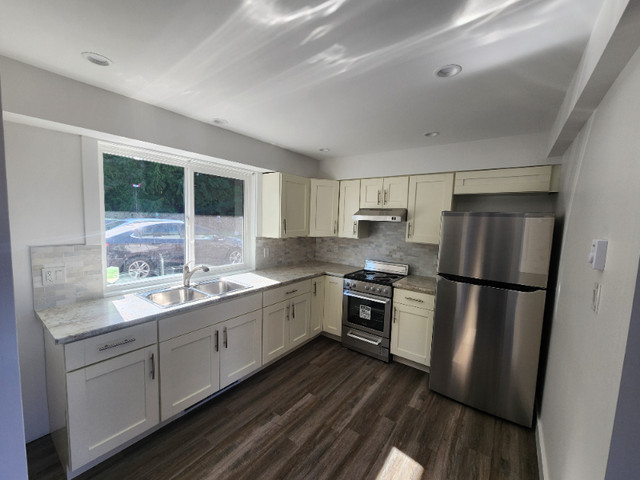 1-bed 1-bath Apartment (55+) for Rent in Campbell River dans Locations longue durée  à Campbell River