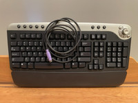 Dell computer keyboard with wrist rest. Excellent condition.