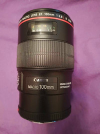 100mm f 2.8 L ef mount macro  lens