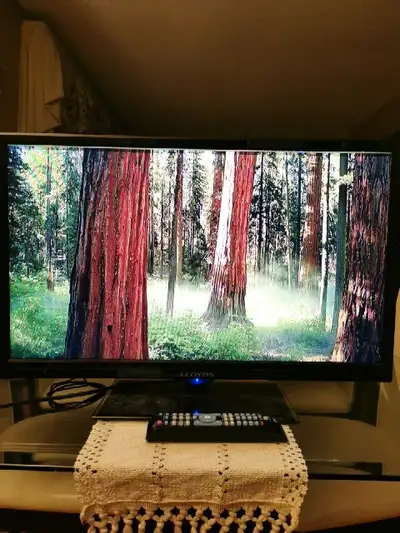 29" LED TV + DVD player built-in, View more