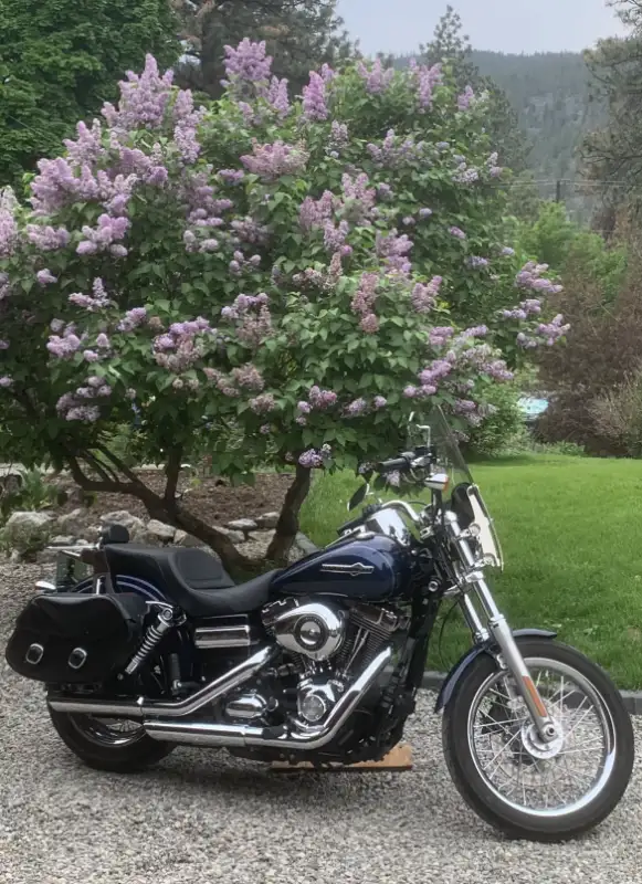 HARLEY DAVIDSON in Street, Cruisers & Choppers in Penticton - Image 6