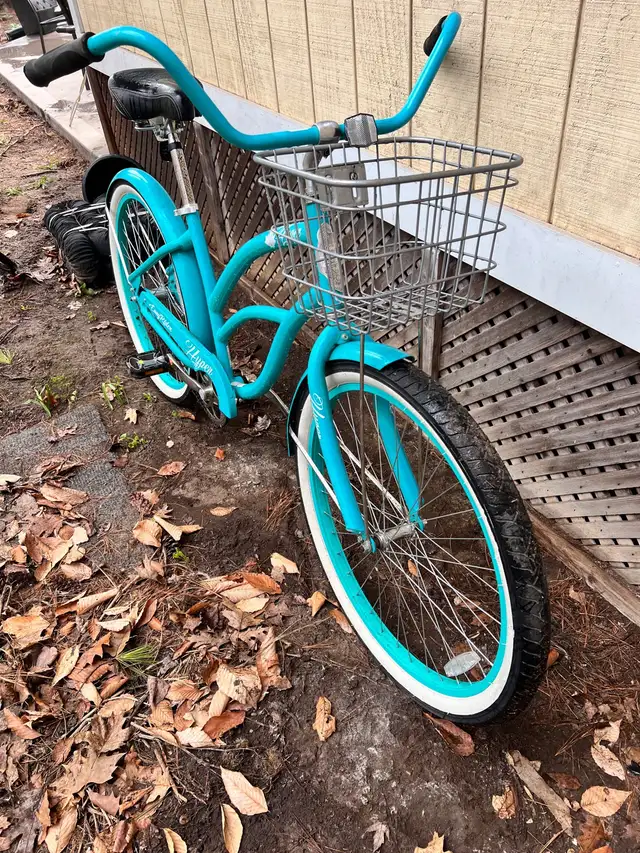 Woman’s Bike in Road in Oakville / Halton Region - Image 3