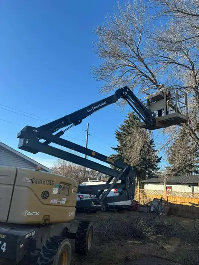 tree and brush removal  Stump grinding, View more