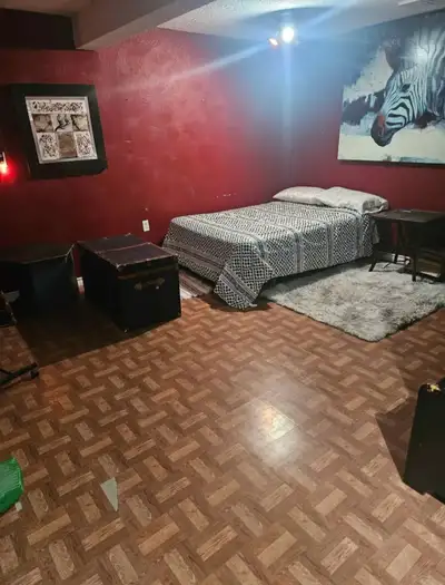 a bedroom in basement with private bathroom for rent. Shared laundry shared kitchen. Must be a worki...