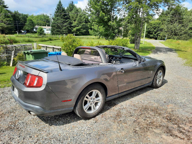 Mustang 2011 cabriolet  dans Autos et camions  à Sherbrooke - Image 3