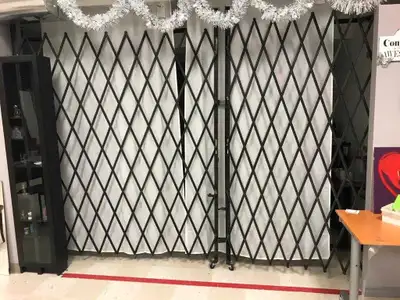 Expandable Security Gate 8' x 12', View more