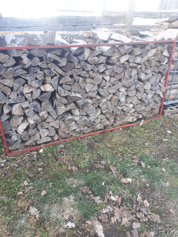 Firewood in Other in Owen Sound - Image 3