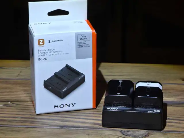 Sony BC-ZD1 NP-FZ100 Dual Battery Charger 
