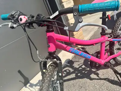 Raleigh 20 inch Kids Bike, View more