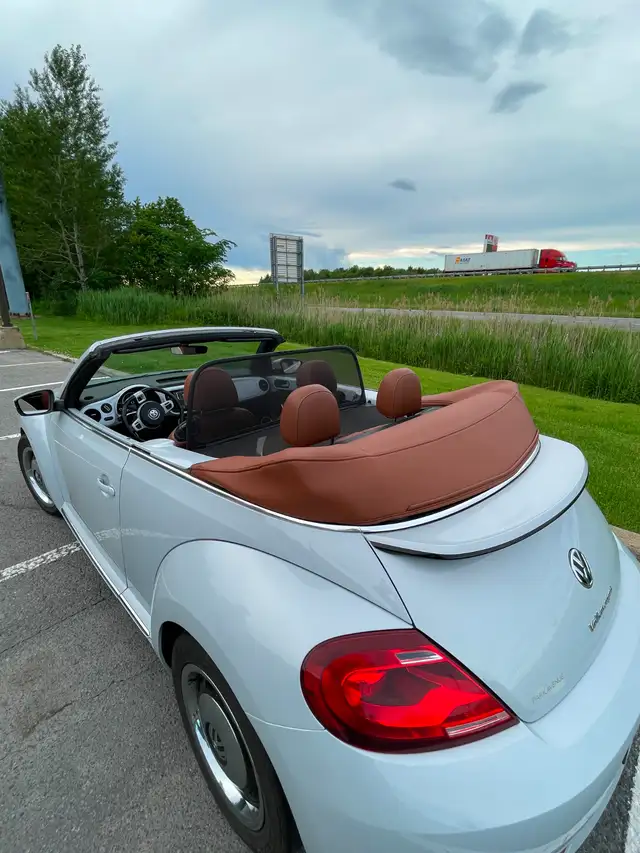 Beetle Convertible498589186529044489