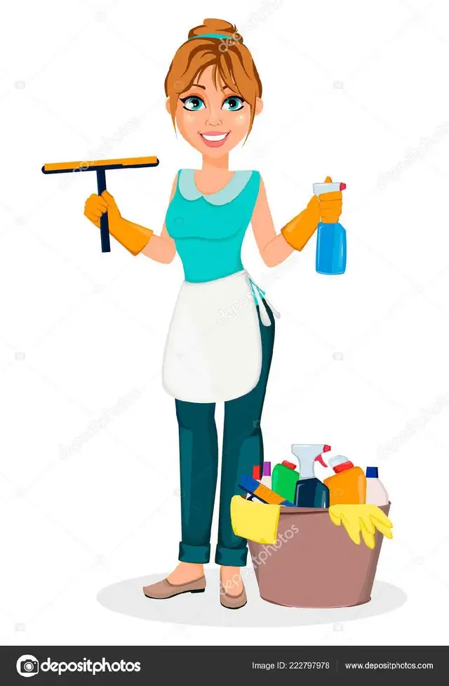 Professional Cleaning Lady64959953086721120