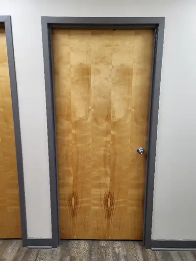Commercial Doors - Wood Grain Finish, View more