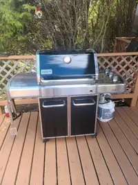 Barbecue for sale