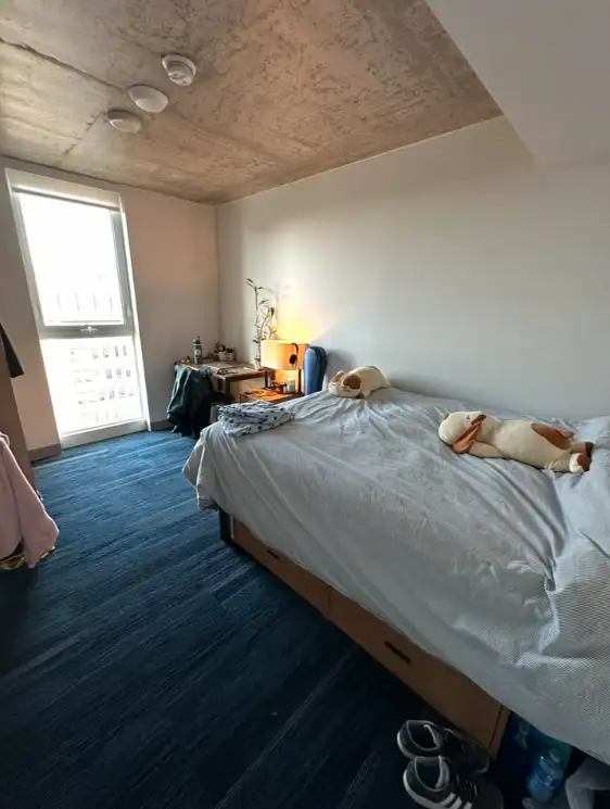 pictures of the unit