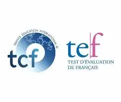 learn french to achieve clb 7, View more