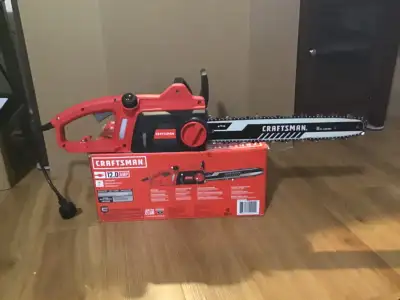 New chainsaw used on one small tree. Has been cleaned & oiled. Chainsaw oil not included with my pur...