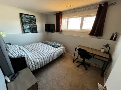 Furnished Queen Bedroom in Shared Basement - Available July 16th