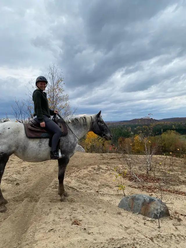 Horse Training/Re-Starts in Animal & Pet Services in Ottawa - Image 4