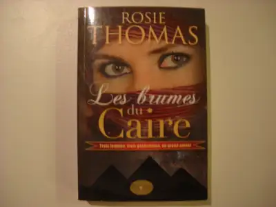Roman de l'écrivaine Rosie Thomas "Les brumes du Caire", en très bonne condition.