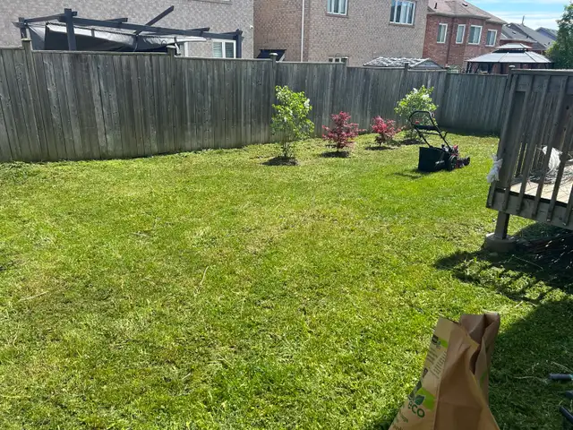 same day lawn service !  in Lawn, Tree Maintenance & Eavestrough in City of Toronto - Image 11