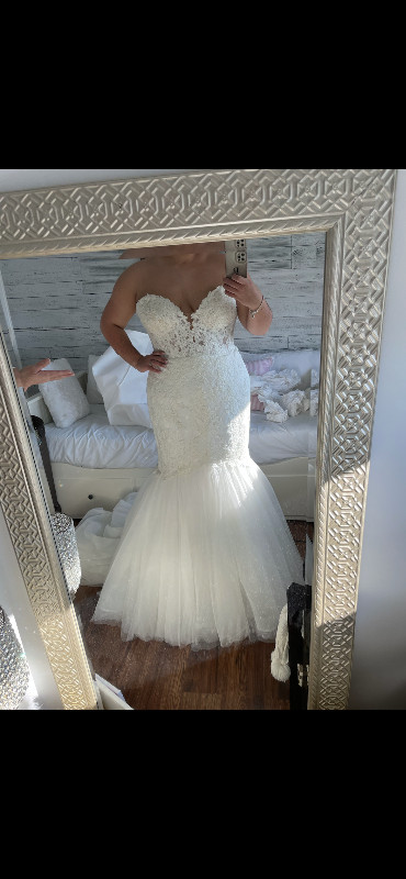 Pronovias wedding gown in Wedding in Hamilton - Image 2
