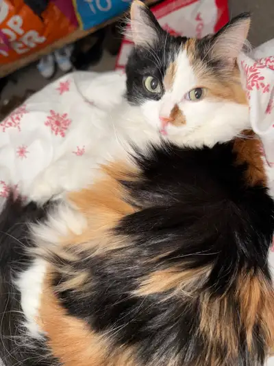 Friendship & Fun After 50 – Real Connections Only, View more