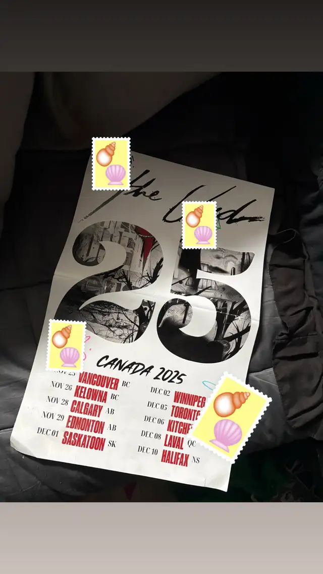 The used signed poster and VIP package merch