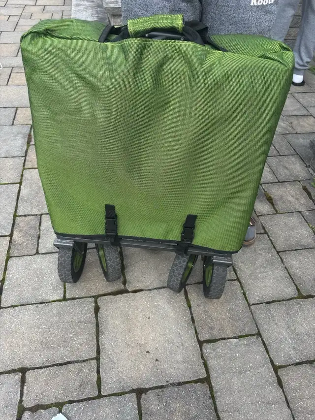 Stroller/wagon in Strollers, Carriers & Car Seats in Ottawa - Image 4