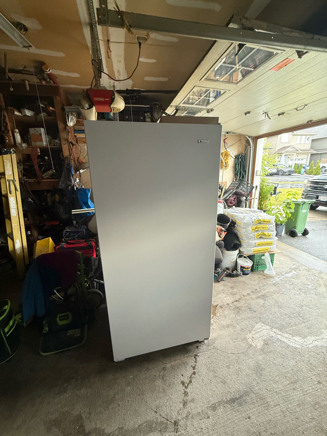 stand up freezer  in Freezers in Ottawa - Image 4