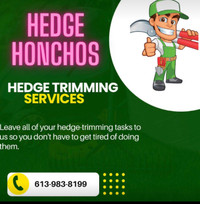 Book by April 2nd and get 15% off any hedge trimming quotes!