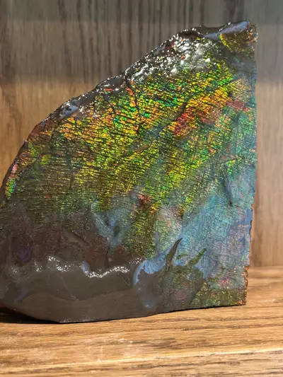 ammolite/ammonite fossil display piece, View more