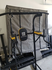 Multi pull up dips and cable machine $100