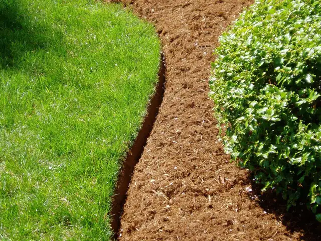 LANDSCAPE MINTEANCE.461434999213936644