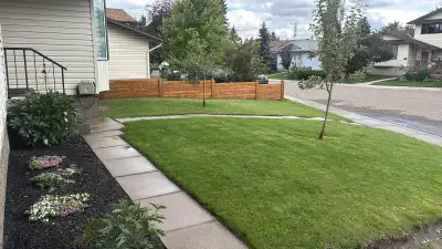 Yard Work, View more