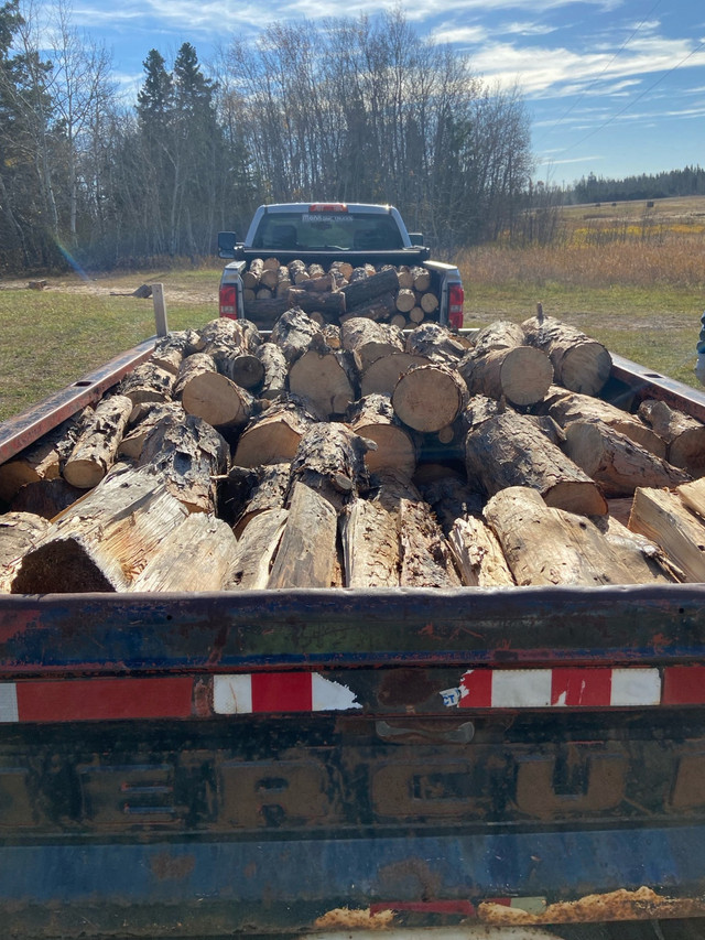 Firewood in Other in Prince Albert - Image 4