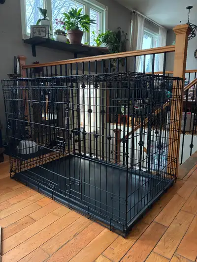 Deux cages pour chiens, 1xLarge et 1xXL à vendre ensemble ou séparément 150$ négociables. La large e...