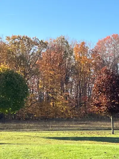 Charming One-Bedroom apartment for rent in quiet rural setting between Inverary and Glenburnie - 10...