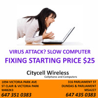 REPAIR? SLOW COMPUTER? VIRUS ATTACK? WE CAN HELP! STARTING $25