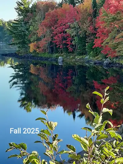 20 minutes south of Middleton, Nova Scotia with lakefront. $1500 plus tax per season. Large wooded s...