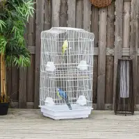 FOUR BUDGIES 2 FEMALE AND 2 MALE WITH LARGE CAGE