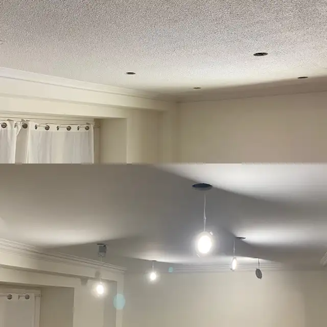 DUSTLESS POPCORN CEILING (STUCCO) REMOVAL64241777885698123