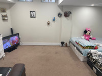OPEN CONCEPT STUDIO BASEMENT FOR RENT FROM MAY 1st