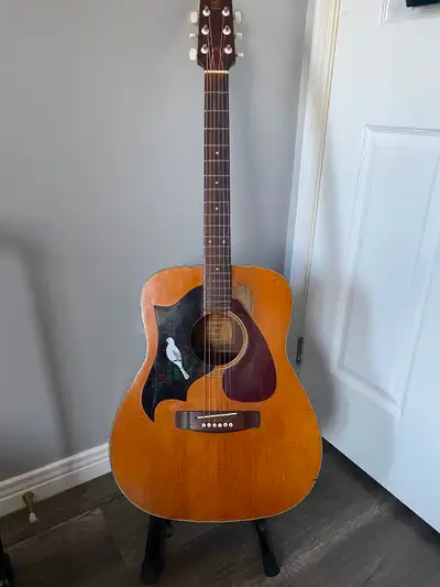Acoustic guitar, View more