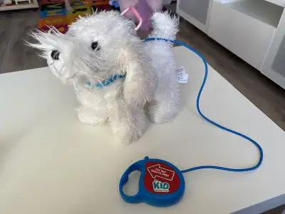 EUC Comes w batteries Located Wpg South (Bridgwater Lakes) P/s/b free home Cross posted