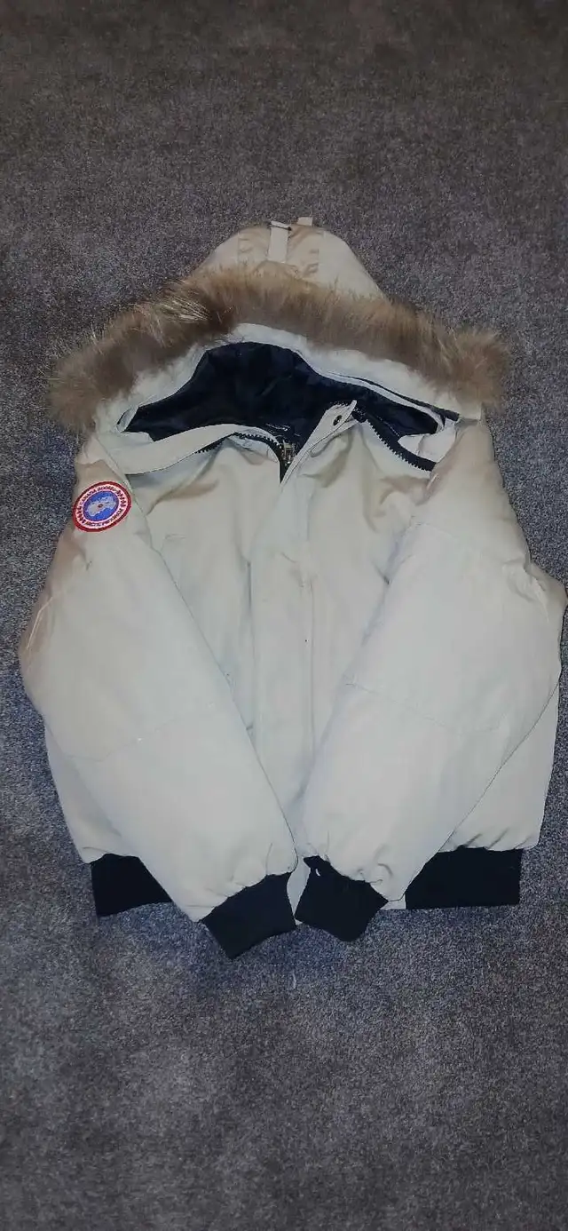 Canada Goose in Costumes in Edmonton - Image 2