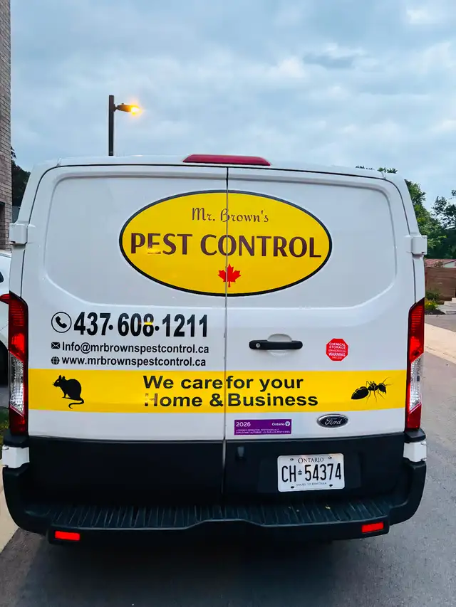 Pest Control Services for your Home & Businesses