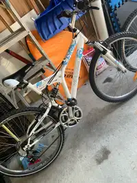 Adult bikes. $120 each. No lower. 
